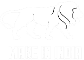 Make in India