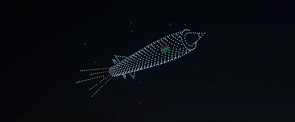 Indian Drone Technology 